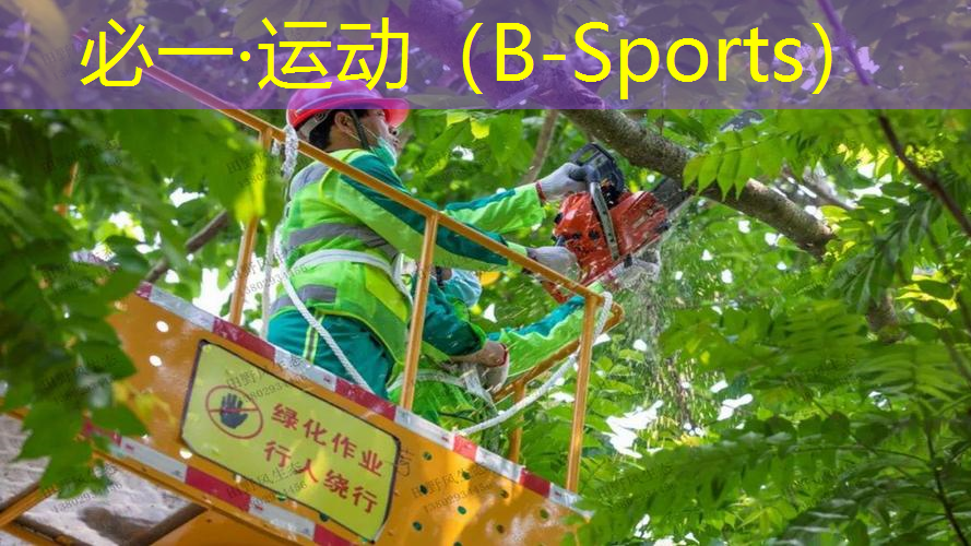 网球拍定制颜色搭配效果图